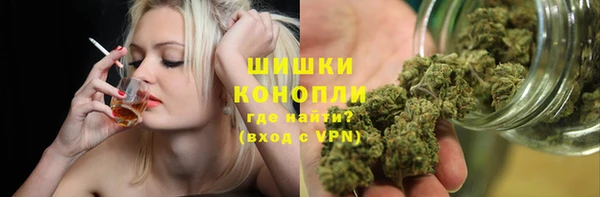 ГАЛЛЮЦИНОГЕННЫЕ ГРИБЫ Абаза