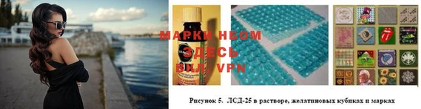 ГАЛЛЮЦИНОГЕННЫЕ ГРИБЫ Абаза