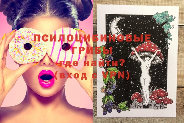 ГАЛЛЮЦИНОГЕННЫЕ ГРИБЫ Абаза