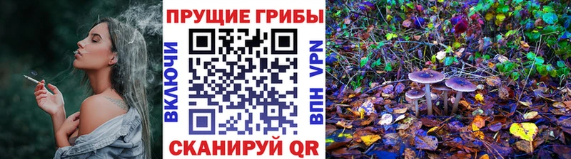 Псилоцибиновые грибы GOLDEN TEACHER  закладка  Котовск 